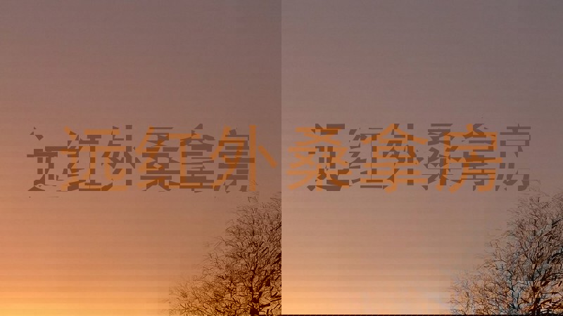 远红外桑拿房
