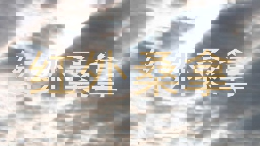 红外桑拿