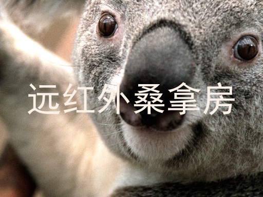 远红外桑拿房