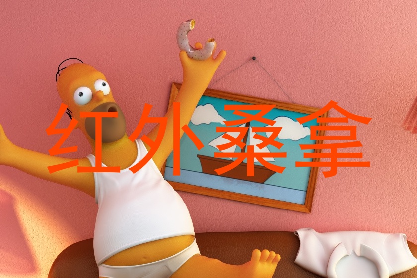 红外桑拿