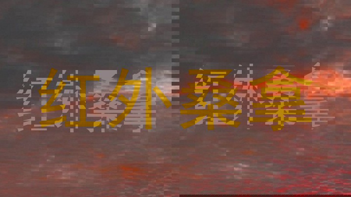 红外桑拿