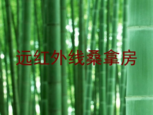 远红外线桑拿房