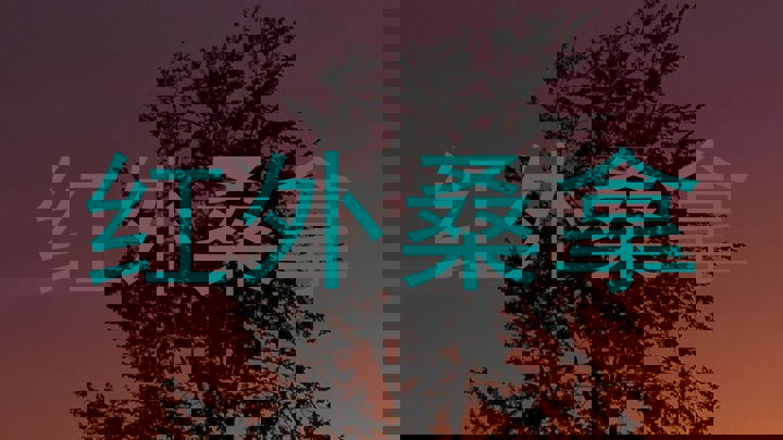 红外桑拿