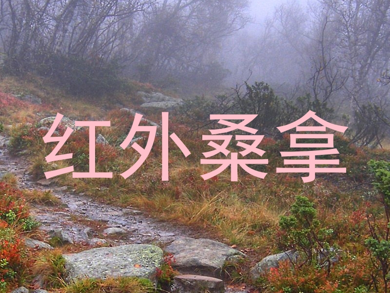 红外桑拿