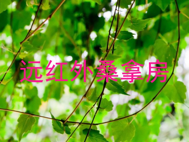 远红外桑拿房