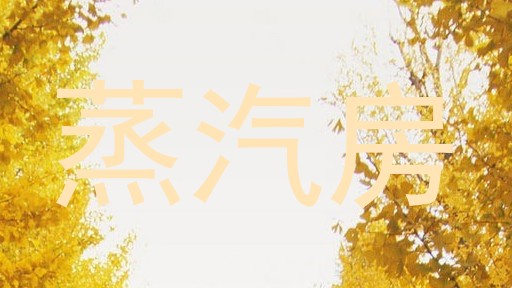 蒸汽房