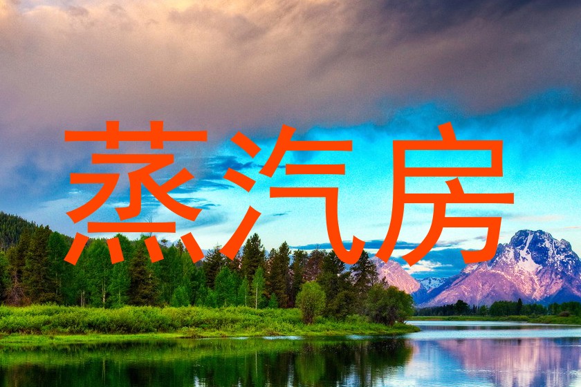 蒸汽房
