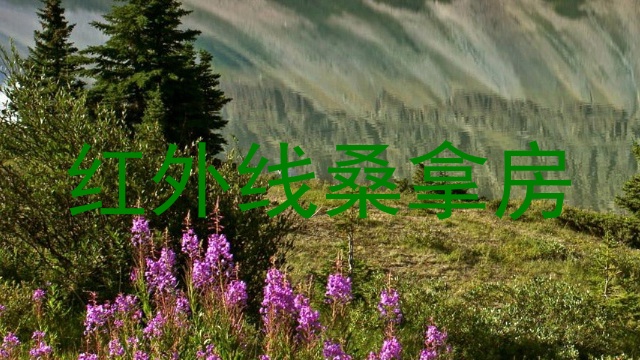 红外线桑拿房