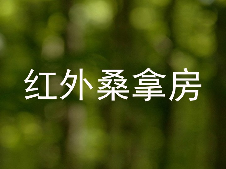 红外桑拿房
