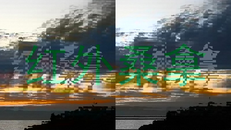 红外桑拿