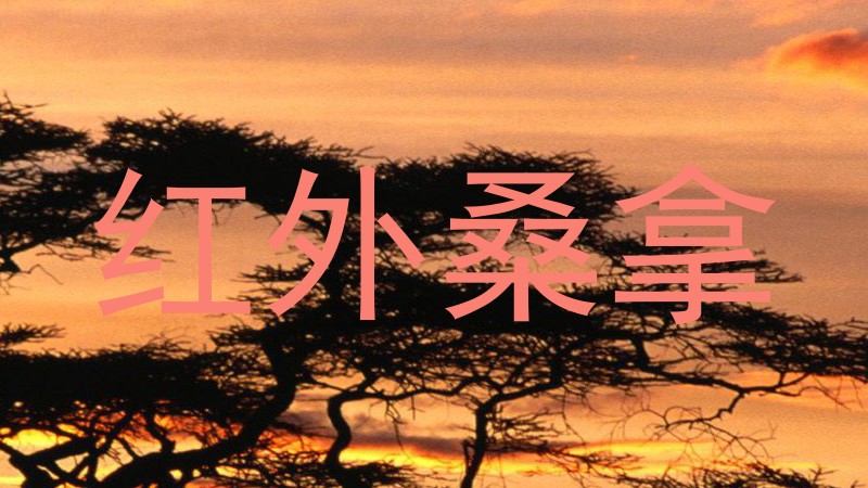 红外桑拿