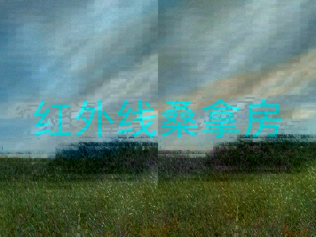 红外线桑拿房