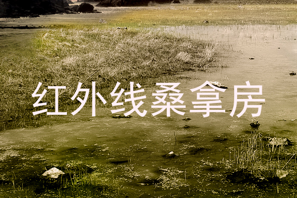 红外线桑拿房