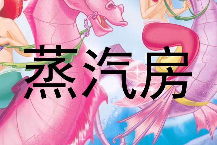 蒸汽房