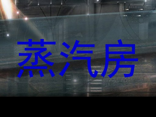 蒸汽房