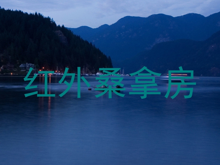 红外桑拿房