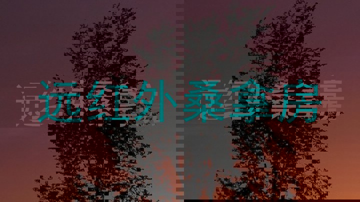 远红外桑拿房