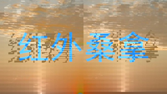 红外桑拿