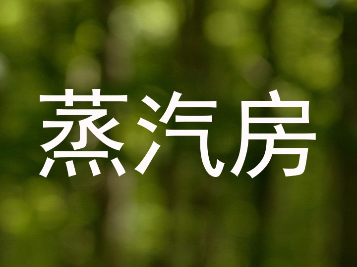 蒸汽房