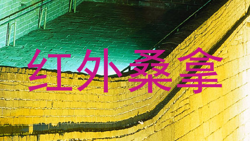 红外桑拿