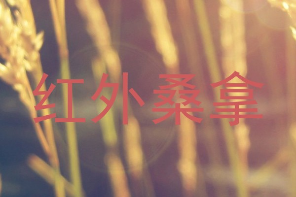 红外桑拿