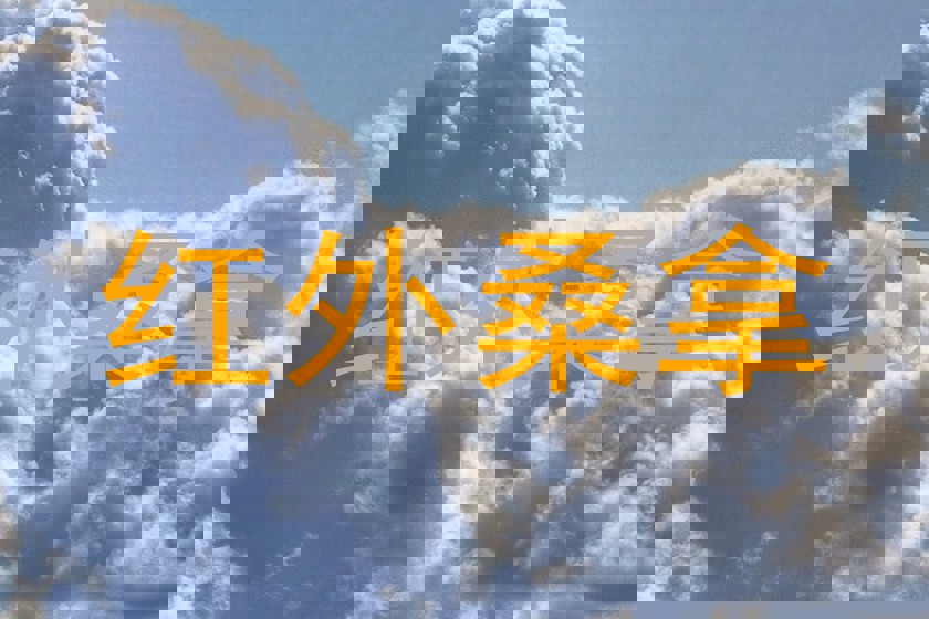 红外桑拿