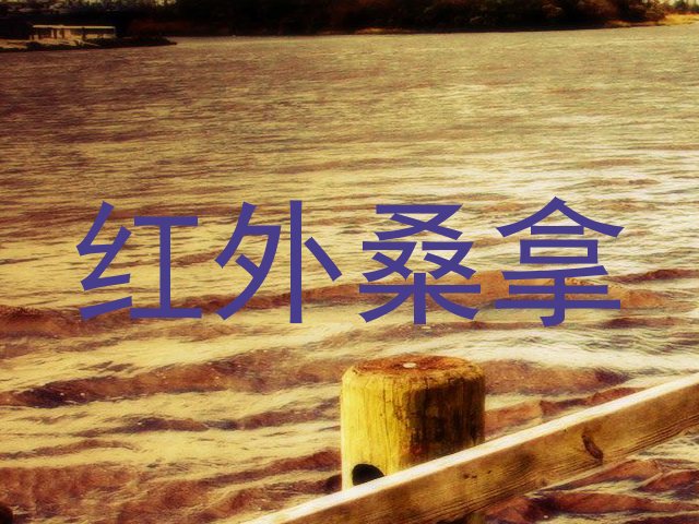 红外桑拿