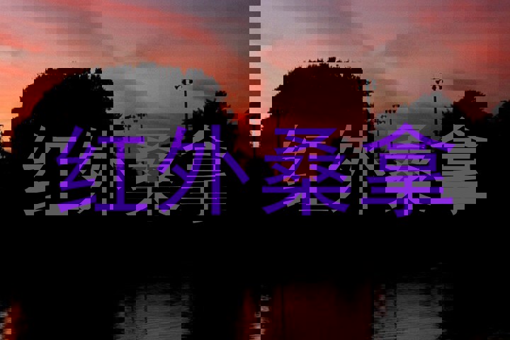 红外桑拿