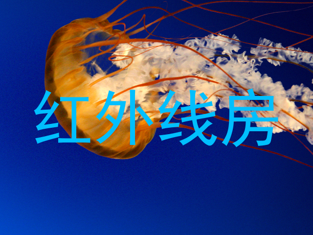 红外线房