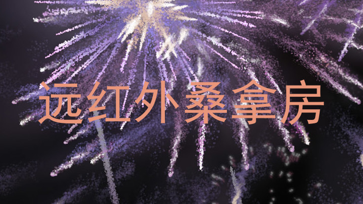 远红外桑拿房