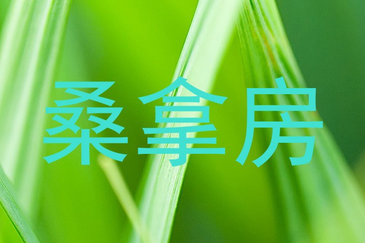 桑拿房