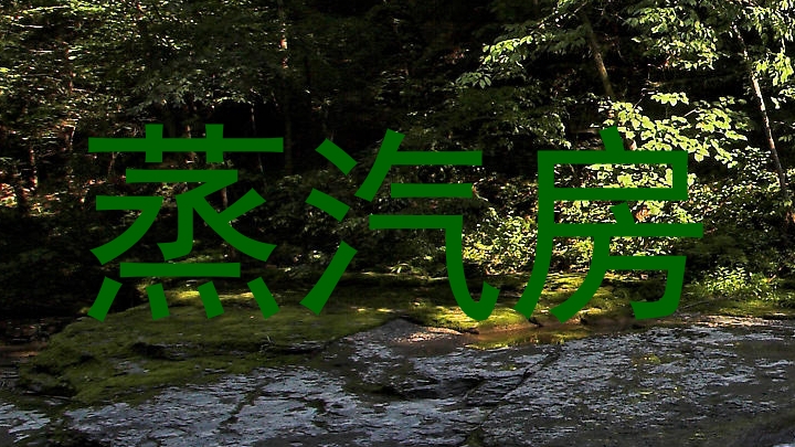 蒸汽房