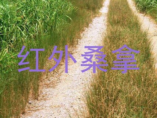 红外桑拿