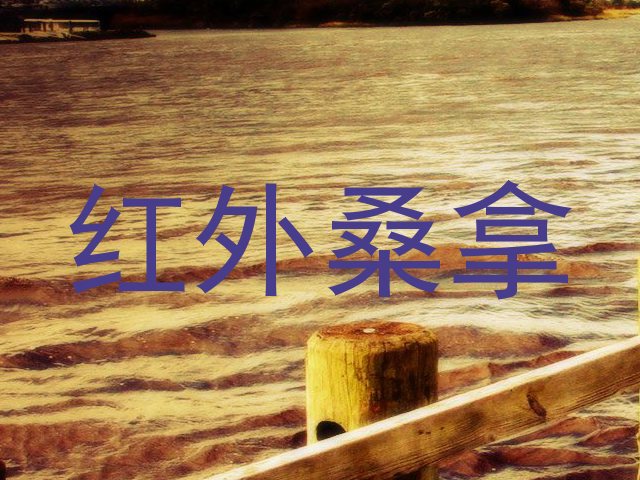红外桑拿