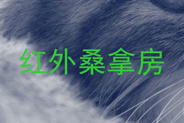 红外桑拿房