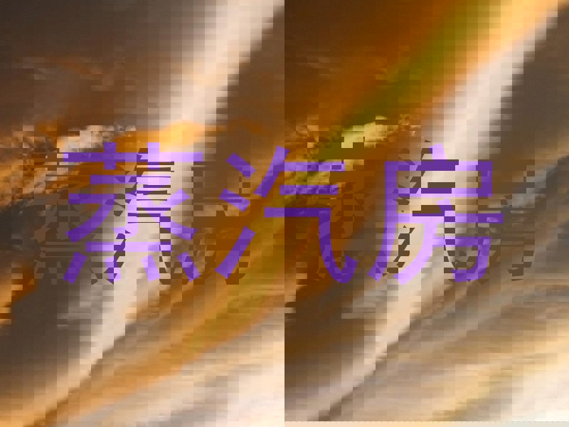 蒸汽房
