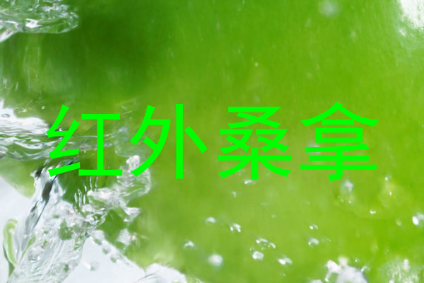 红外桑拿