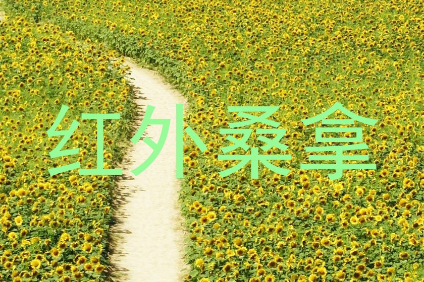 红外桑拿