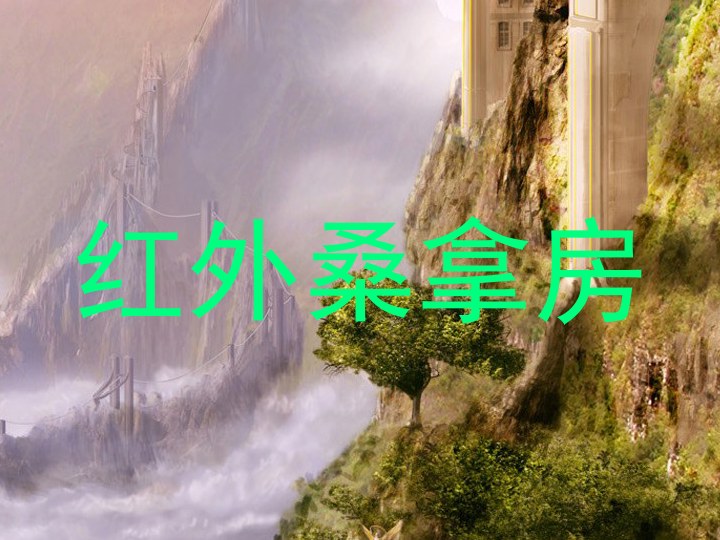 红外桑拿房