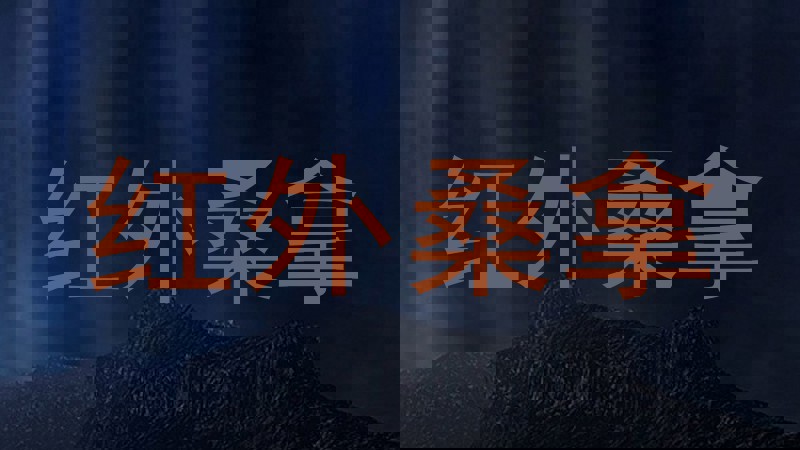 红外桑拿