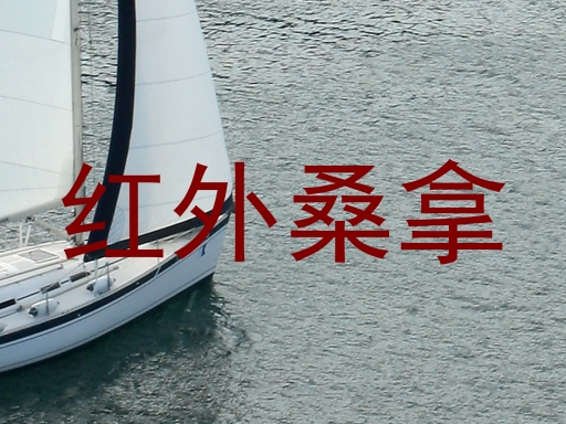 红外桑拿