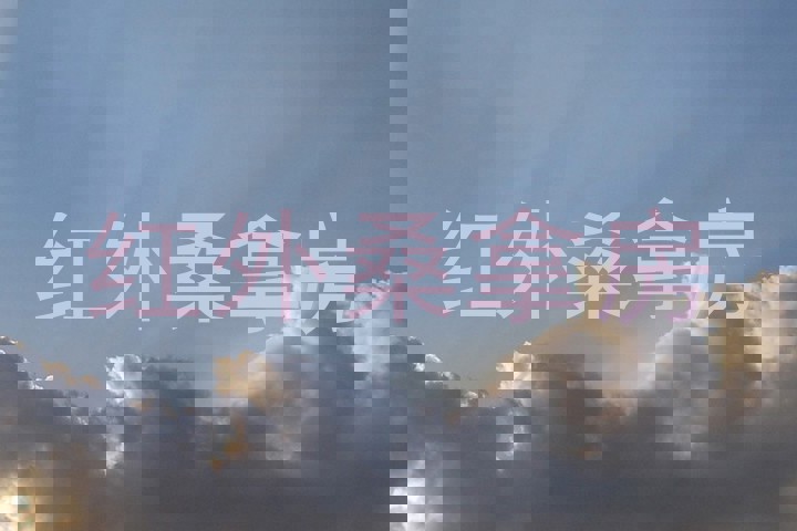 红外桑拿房