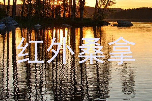 红外桑拿