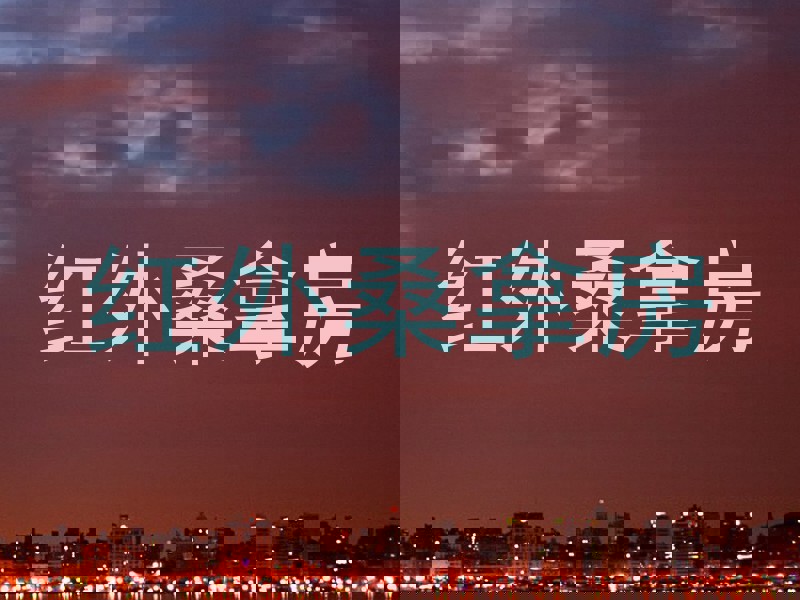 红外桑拿房