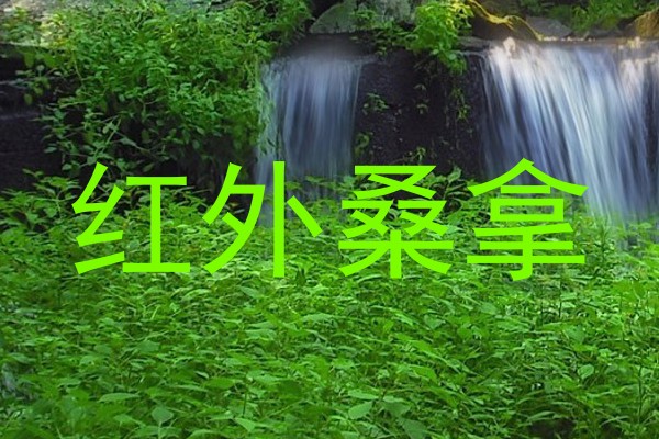 红外桑拿