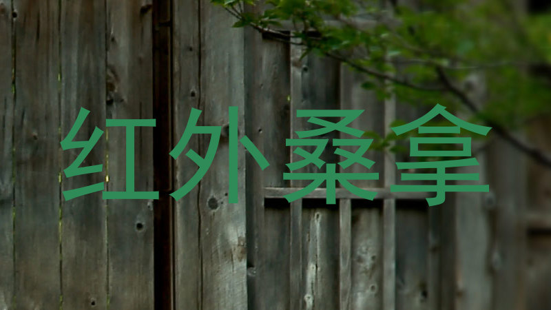 红外桑拿