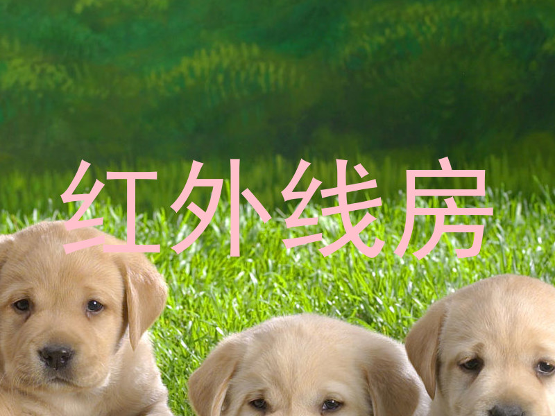 红外线房