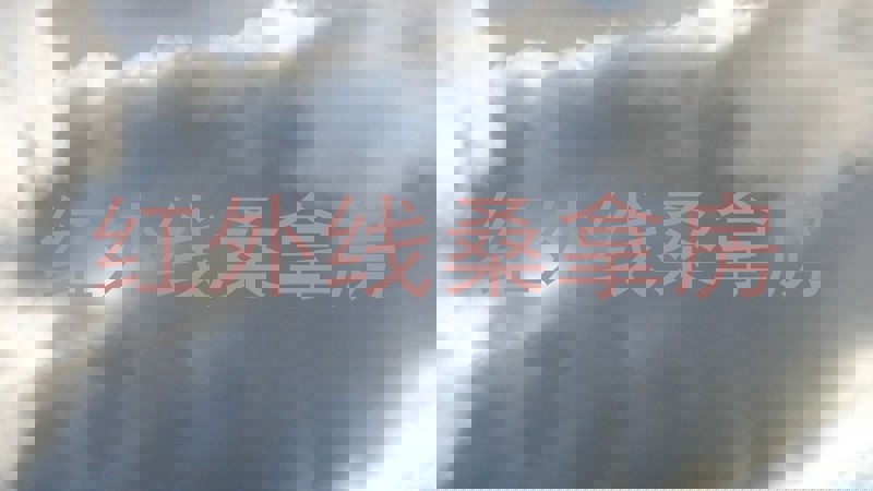 红外线桑拿房