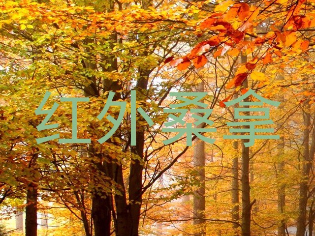 红外桑拿