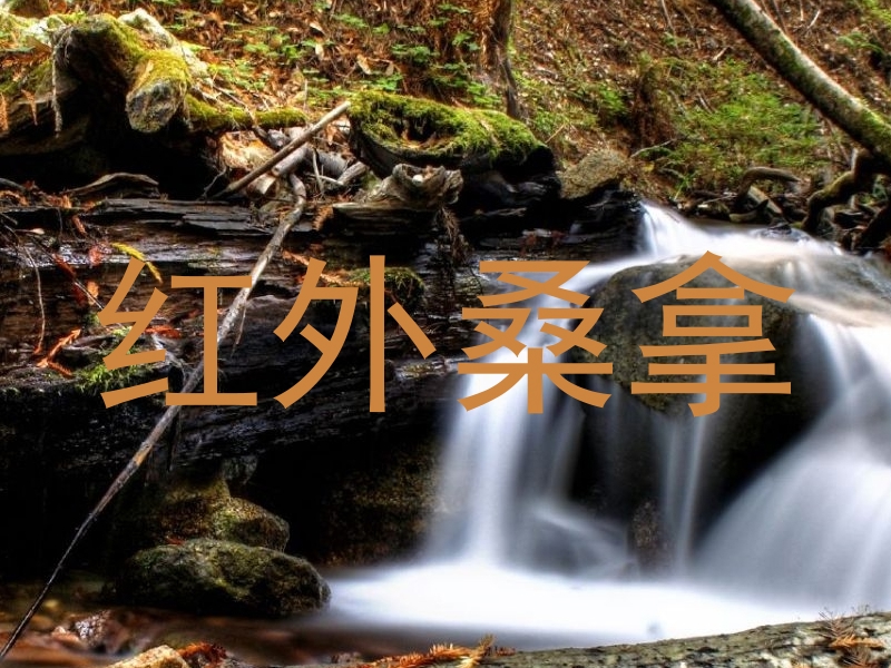红外桑拿